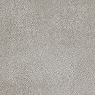 Signature Sensation Salacity 795